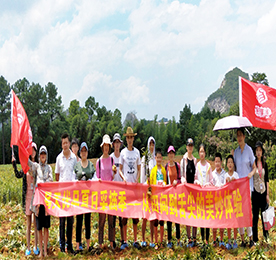 炎炎夏日的田间体验——记4001老百汇网站,4001老百汇平台,4001老百汇官方网站优品宜兴夏日采摘季活动